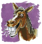 Image result for smiling horse