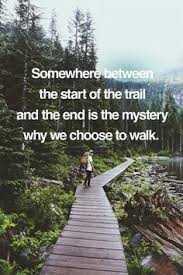 Hiking Quotes on Pinterest | John Muir Quotes, Mountain Quotes and ... via Relatably.com