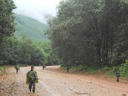 Image result for There is money in rubber plantation