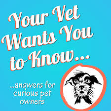 Your Vet Wants You to Know