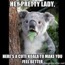 Hey pretty lady, here&#39;s a cute koala to make you feel better ... via Relatably.com