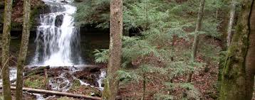 Image result for image of waterfalls