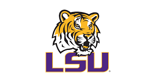 Image result for lsu tigers football