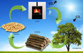 Resultado de imagen para biomasa