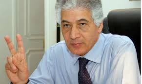 Ahmed galal. The minister of industry and trade is nominated by deputy prime minister El-Beblawi and awaits the approval of the military council. - 2011-634467577911422788-142