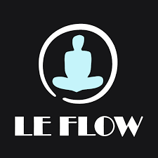 Le Flow : bien-être et performance