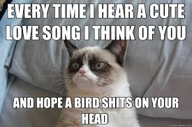 Memes Vault Funny Cat Memes about Love via Relatably.com