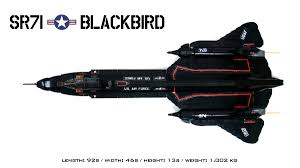 Image result for blackbird plane