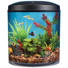 Image result for types of aquarium tanks