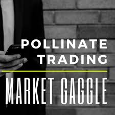 The Market Gaggle by Pollinate Trading