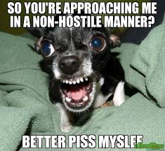 SO YOU&#39;RE APPROACHING ME IN A NON-HOSTILE MANNER? BETTER PISS ... via Relatably.com