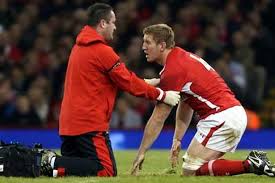Image result for bradley davies wales