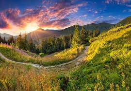 Image result for summer in the mountains