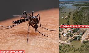 Health Hazard Warnings Issued in NSW and South Australia as Mosquito 
Population Skyrockets