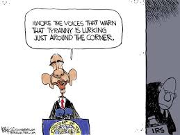 Image result for obama's attack IRS cartoons