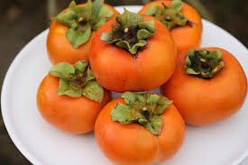 Image result for persimmon fruit