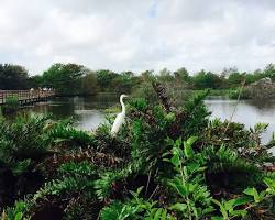 Wakodahatchee Wetlands in Delray Beach, Florida