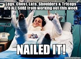 Sore | Legs, Chest, Lats, Shoulders &amp; Triceps are ALL SORE from ... via Relatably.com