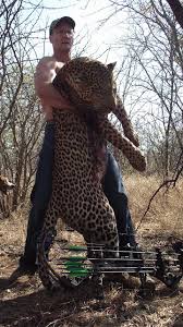 Image result for african lion murder