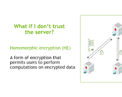 Differential privacy and homomorphic encryption