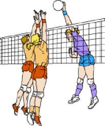 Image result for volleyball clipart