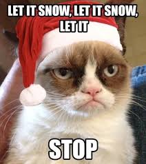 Grumpy Cat Christmas on Pinterest | Grumpy Cat, Grumpy Cat Meme ... via Relatably.com
