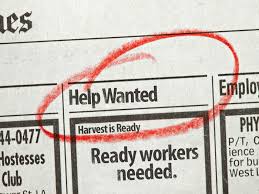 Image result for help wanted