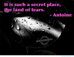 Image result for tears inspirational quotes free images