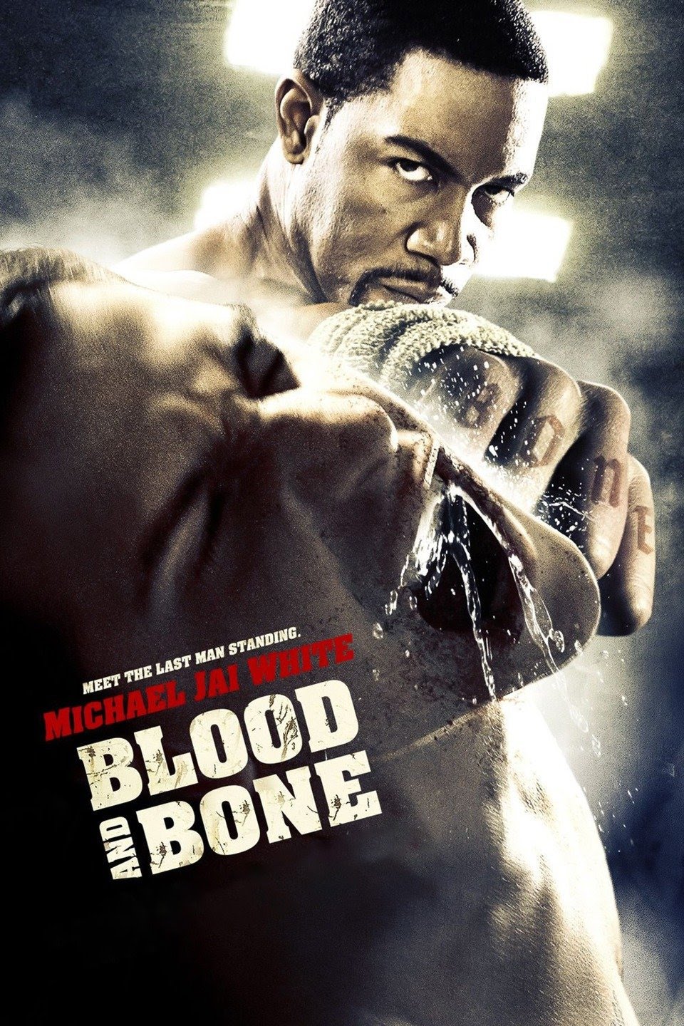 Download Blood and Bone (2009) BluRay 720p | 480p Dual Audio Hindi English