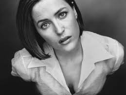 Image result for gillian anderson