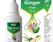 Ginger Ayurvedic herb