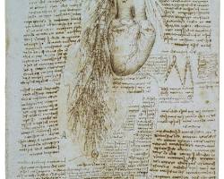 Heart and Great Vessels by Leonardo da Vinci
