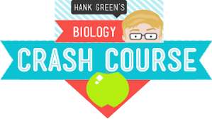 Image result for crash course biology logo
