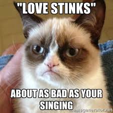 love stinks&quot; about as bad as your singing - Grumpy Cat | Meme ... via Relatably.com