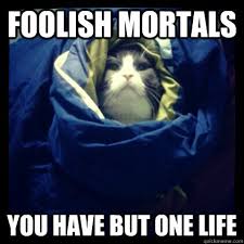 FOOLISH MORTALS YOU HAVE but one life - Cat Overlord - quickmeme via Relatably.com
