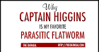 Captain Higgins