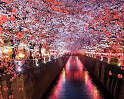 Image of Meguro River di Tokyo