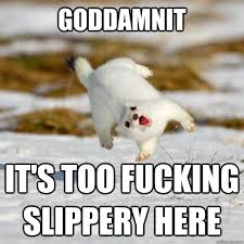 happy ferret memes | quickmeme via Relatably.com