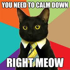 YOU NEED TO CALM DOWN RIGHT MEOW - Business Cat - quickmeme via Relatably.com