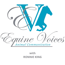 Equine Voices Podcast
