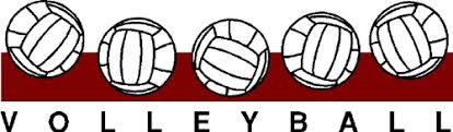 Image result for clipart images for volleyball