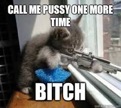 Sniper Kitty memes | quickmeme via Relatably.com