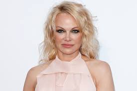 Pamela Anderson reveals she has never seen stolen sex tape with ex Tommy 
Lee: 'It was very hurtful'