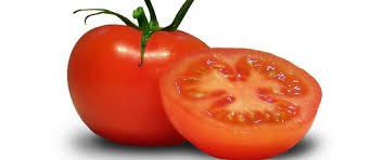 Hasil gambar untuk tomat
