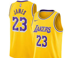 Image of LeBron James Icon Edition jersey