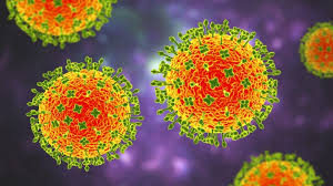 Langya henipavirus: New virus infects dozens in China. What to know.
