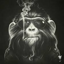Resultado de imagen para orangutan fumando
