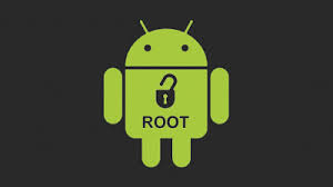 Image result for root