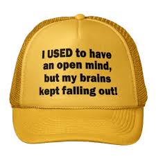 Image result for funny hat ideas