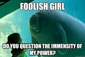 foolish girl do you question the immensity of my power? - Overlord ... via Relatably.com